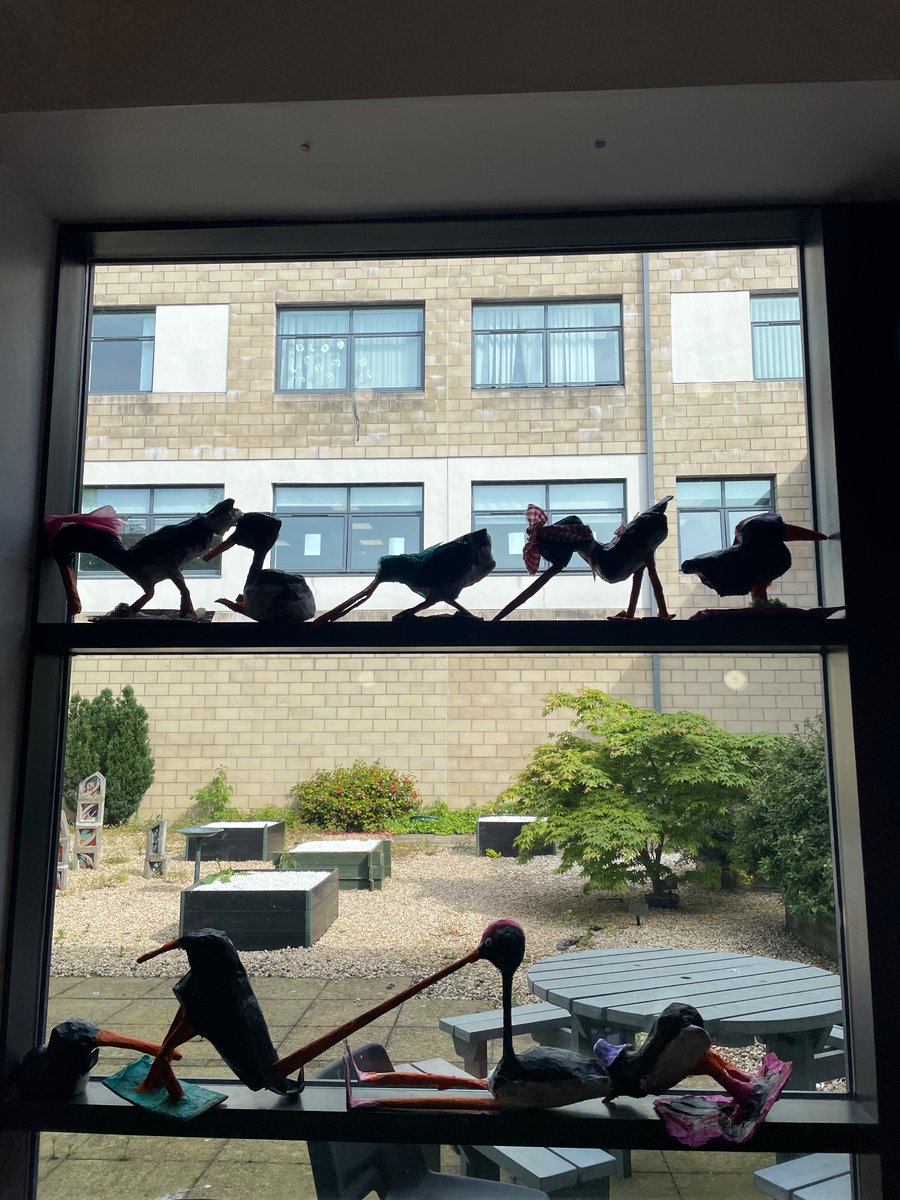 S2 Share a Bird 2024 Art Installation is well underway in the Senior Social Space. Inspired by our resident @braeshigh Oyster Catchers! I love these silhouettes 2/8. These amazing sculptures are on sale for Staff 💸💸💸 #enterprising #braescreativity #article13 #article31
