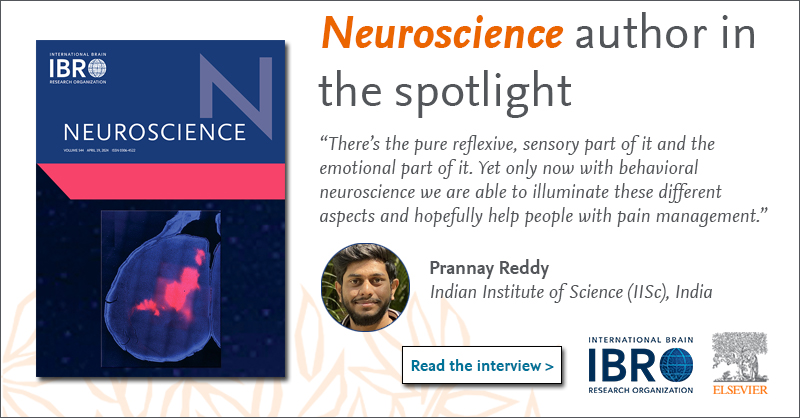 #AI is being used to help analyze #behavioral data & accelerate #pain #research in a paper published in Neuroscience by Dr. Arnab Barik, Prannay Reddy et al. 🧠💻 👉 Read an interview with @IBROjournals author 🔽 sciencedirect.com/journal/neuros…