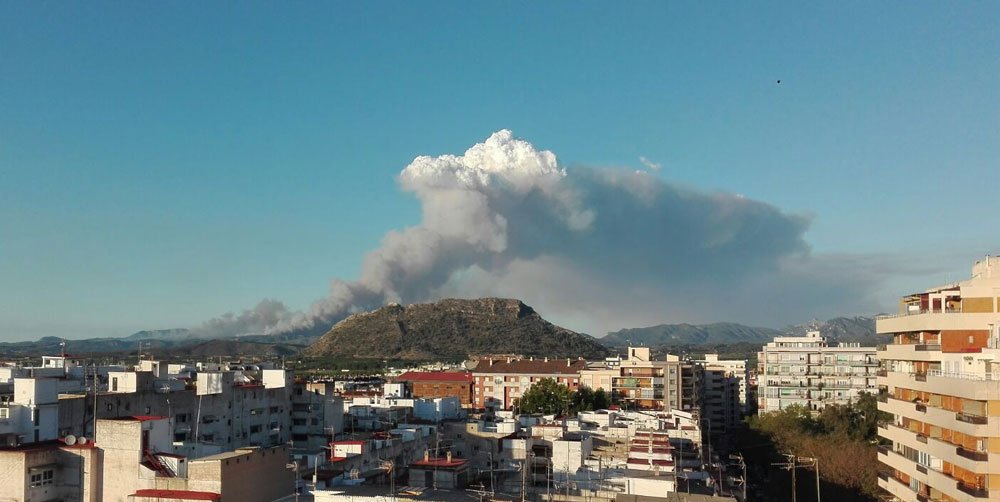 ferrandalmau78's tweet photo. Abierta inscripción para el curso: "#Retos y #oportunidades para la #gestión de los grandes #IIFF #IncendiosForestales en España" coordinado por @VirginiaCarrace de la @unican 

Nos vemos en julio en Santander #IUF #Mediterráneo
¡Plazas limitadas!

+ info: https://t.co/ZrT1lSxyPG https://t.co/7qZk9mNXvb