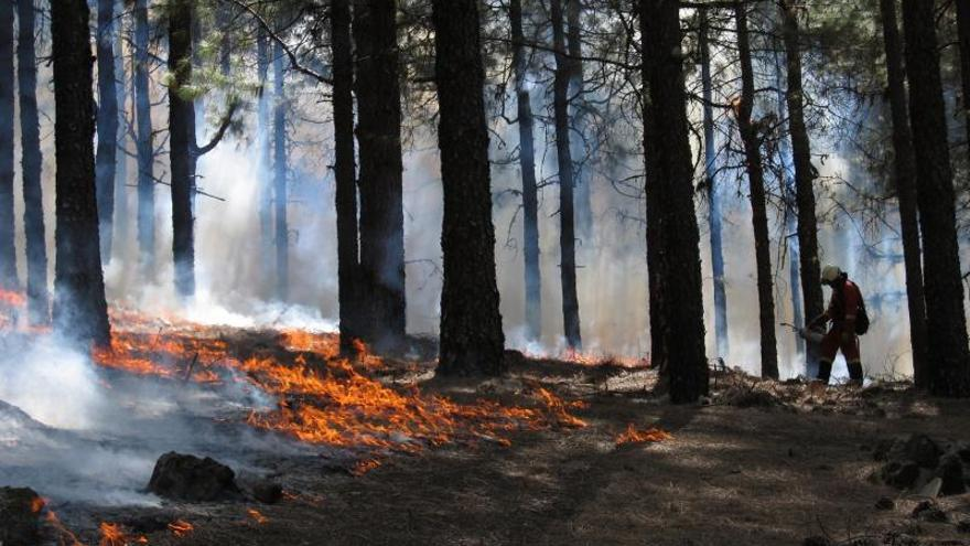 ferrandalmau78's tweet photo. Abierta inscripción para el curso: "#Retos y #oportunidades para la #gestión de los grandes #IIFF #IncendiosForestales en España" coordinado por @VirginiaCarrace de la @unican 

Nos vemos en julio en Santander #IUF #Mediterráneo
¡Plazas limitadas!

+ info: https://t.co/ZrT1lSxyPG https://t.co/7qZk9mNXvb