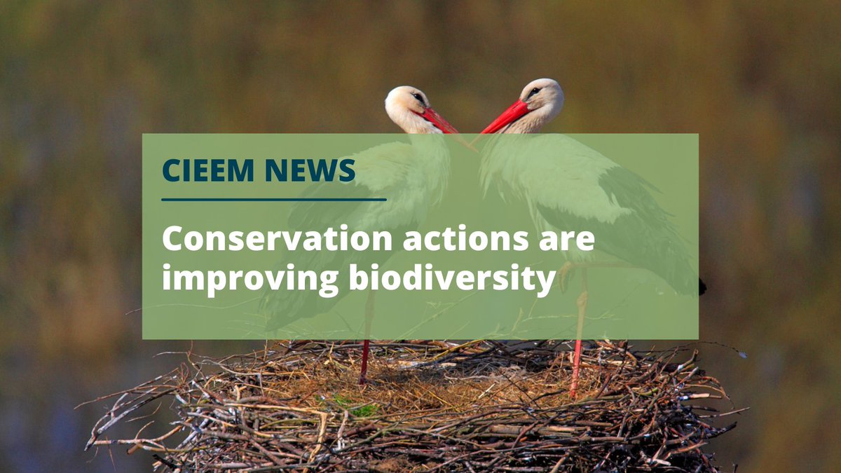 Positive news to end the week! A new landmark study has been published in the journal Science which shows that actions for nature conservation are having a markedly positive effect on biodiversity. Read more of this story here 👉 cieem.net/conservation-a…