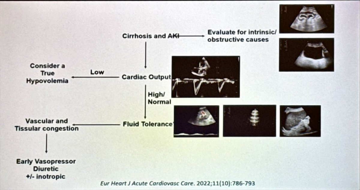 Valoración US de congestión venosa: Fundamento y patrones de flujo vascular VExUS @AEcodigest Necesita nuestro paciente fluidoterapia vs diuréticos? 🤔 Utilidad del PoCUS en la lesión renal aguda en la cirrosis. Magnífica charla @Tubulocentric 👏🏻