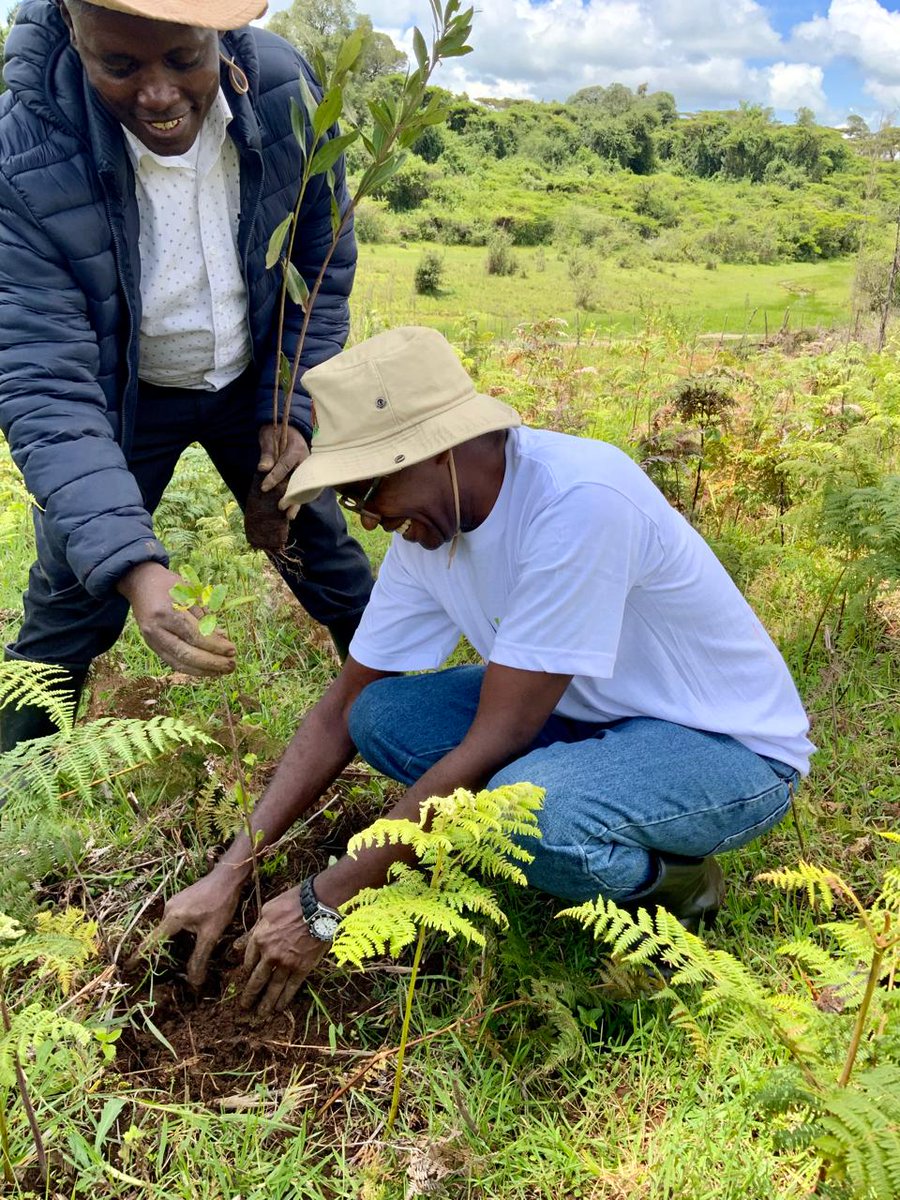 Board Member, Kenya Power, Eng. Albert Mugo plants a tree at Narasha Forest, Baringo County as part of the Company’s commemoration of the National Tree-Planting Day. With him is the General Manager, Regional Coordination, Eng. Geoffrey Muli. #JazaMiti #TreePlantingDay…