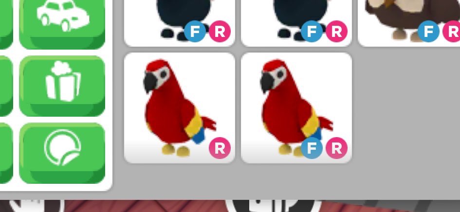Huge parrot #adoptme #Giveaway ! 🪔 1 lucky winner! ; rules • follow me • like and rt • comment done with proof! Hc : • rt/quote with hashtag • like my pinned Ending when i reach 500 followers 🤍 #adoptmegiveaway
