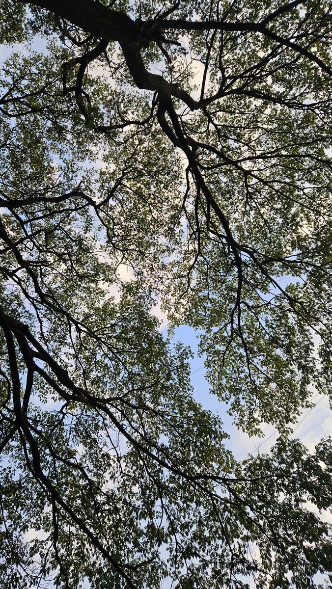 artistryhere's tweet photo. solace of sky. https://t.co/VAqY0XLSyX