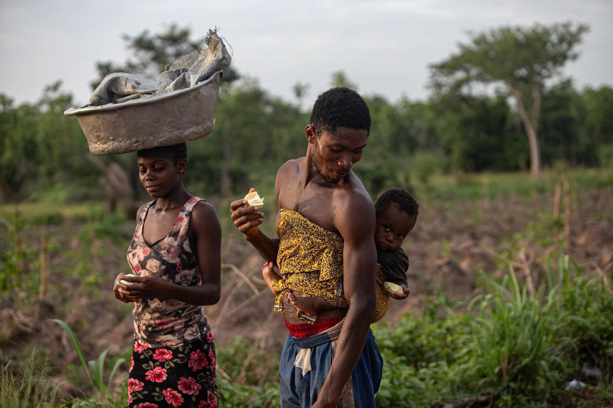 ewepride's tweet photo. 1/3
Yesterday, while traveling from Fodome Xelu, I saw something lovely in Torgbadza, Volta Region.
Frank and Victoria, a beautiful Ewe couple, were walking to their farm. Frank was carrying their son on his back, and they were talking happily. I asked if I could take a picture, https://t.co/TiZKQmeXR3