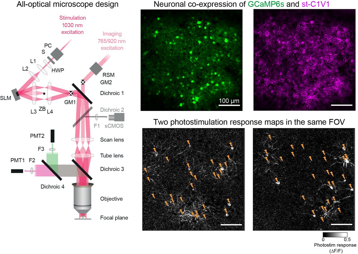 Neural Computation Lab @NeuralCompLab X Profile | Muskviewer