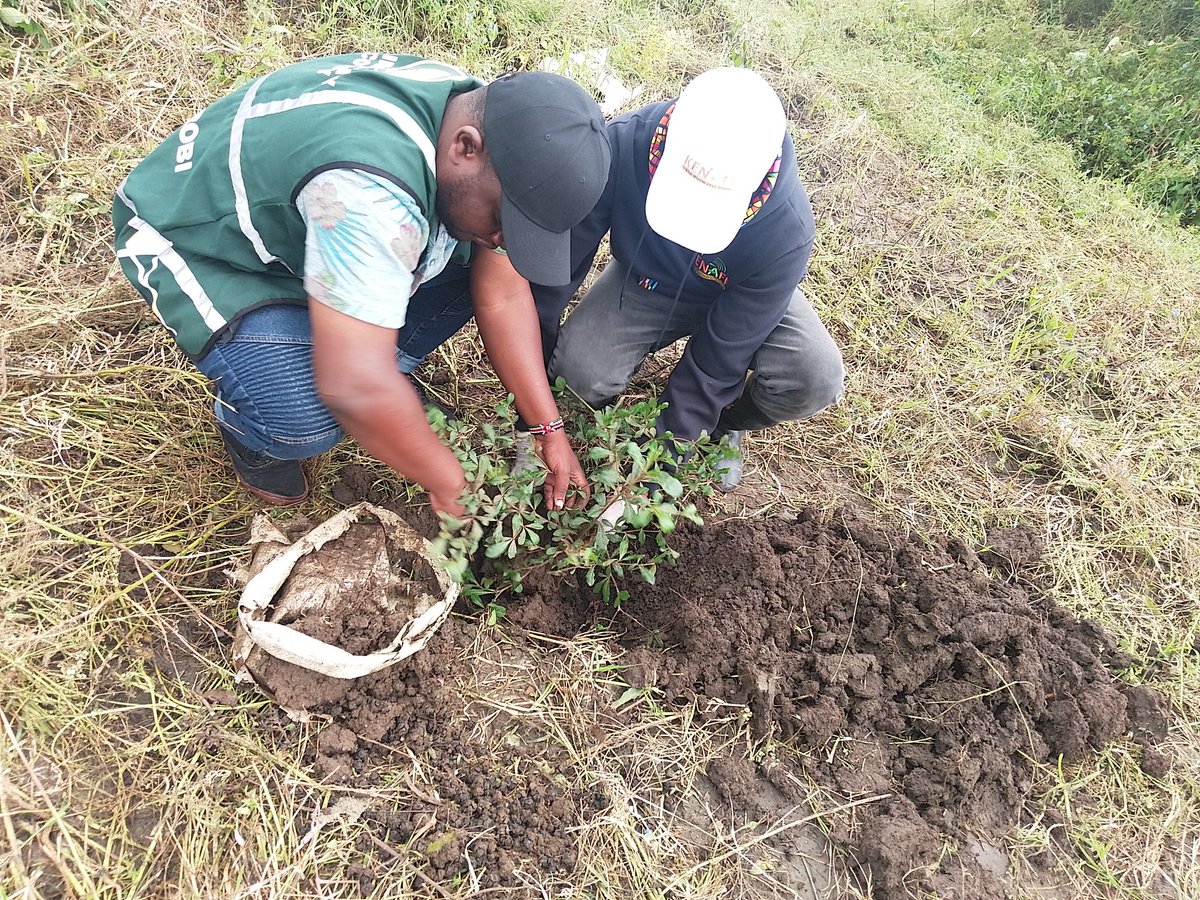 President William Ruto launched the 15 Billion Tree campaign, which aims at rallying Kenyans, Non- Governmental Organizations, Agencies & Corporates to plant trees to rehabilitate forests. #SautiYaMkulima #ClimateActionNow @ChildFund @CRSyouthgroup @FinchApi @suicultura19