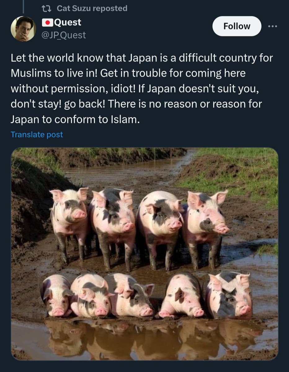 Some of the Japanese responses to the Muslim woman on TV complaining about Japanese food having too much pork is brutal!. I translated it in English so you Westerners can understand.