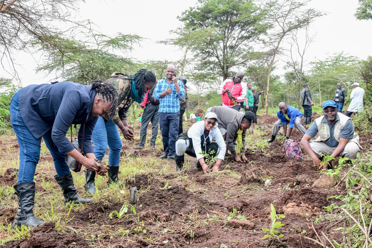 Collaboration in action! 🌱 Exciting to have Nature Target Initiative Forum (NTIF) and Green Education Hub join hands with KU in our tree planting efforts. Special thanks to NTIF for their generous donation of about 100 seedlings. Together, we're nurturing a greener, more…