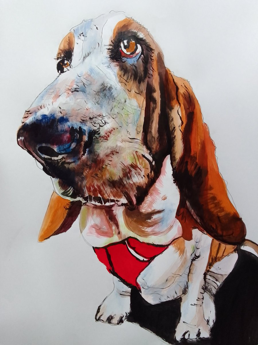 #bassethound #hound #dogs #animals #acrylicpaintings #paintings #contemporaryart #artforsale #contemporaryartists #art #puppy #modernart #saatchiart #artists

saatchiart.com/art/Painting-B…