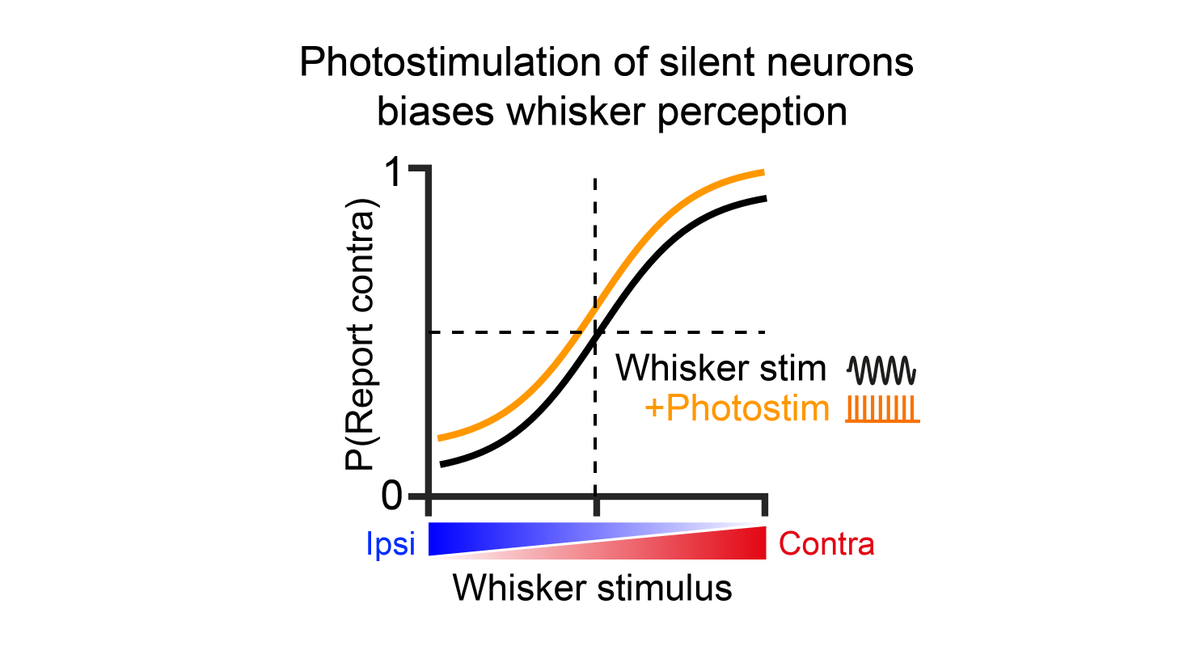 Neural Computation Lab @NeuralCompLab X Profile | Muskviewer