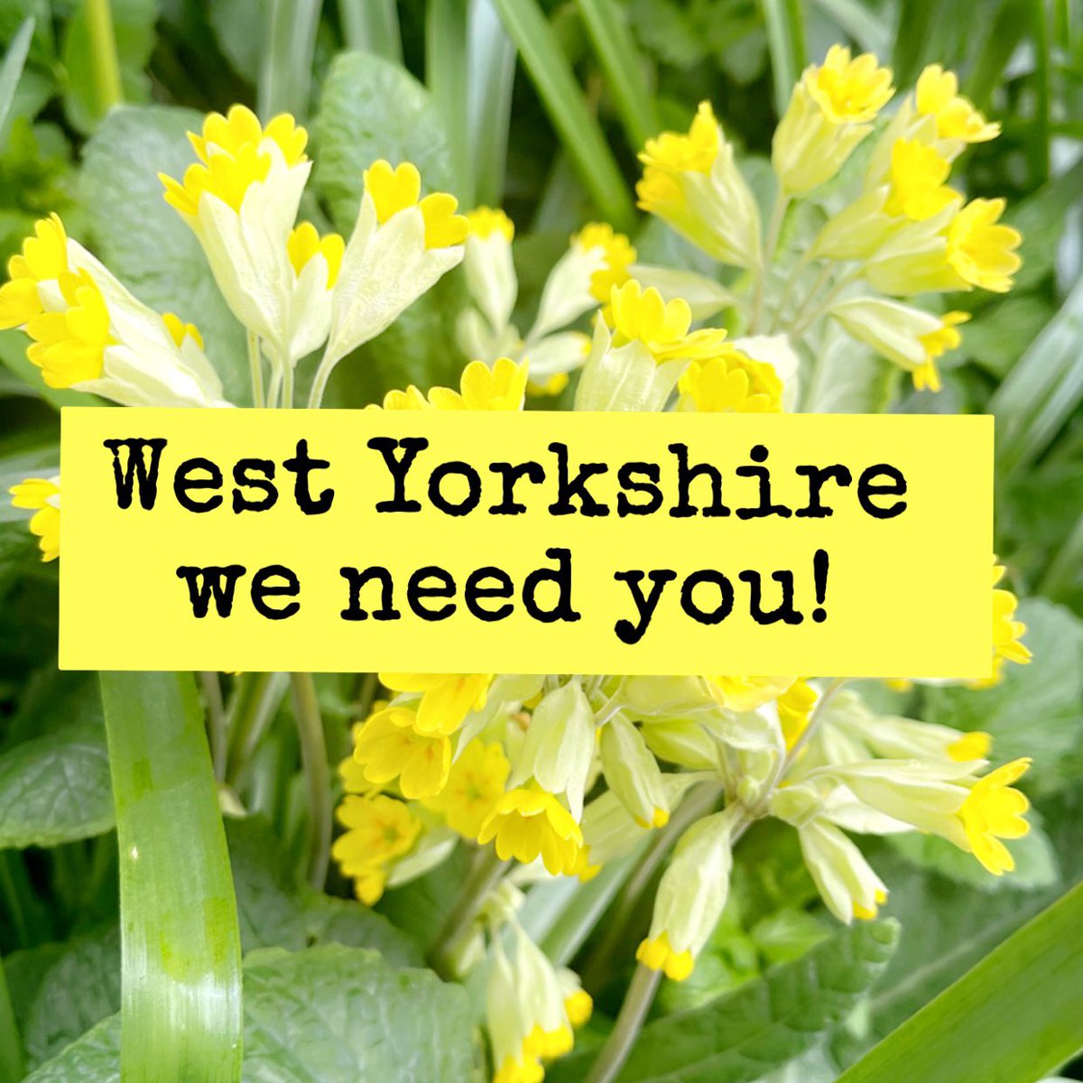 Looking for a way to help the farming community? Have you been thinking about volunteering? We are always on the lookout for new volunteers. Come join our amazing community of volunteers helping our farming families! Read more at:  fcn.org.uk/volunteering-f…

#farming #volunteering