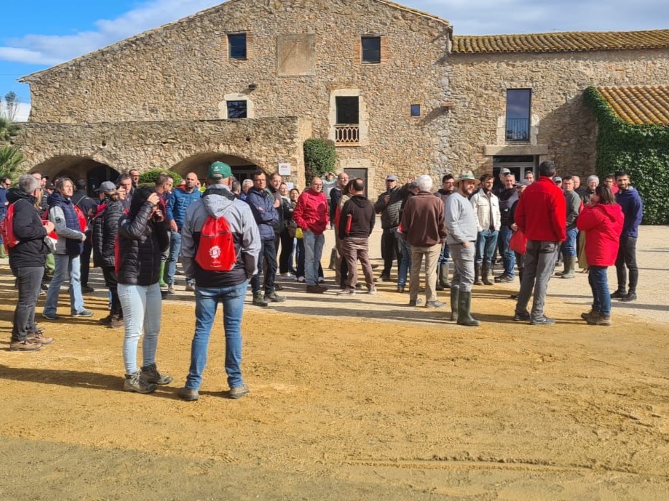 Gran acollida a la jornada de camp sobre #cultius herbacis d'hivern. 🙌 Unes 150 persones van gaudir d'una immersió total, on vam parlar de #cereals d'hivern, del cultiu de la colza i de proteaginoses i lleguminoses.🌿 #TransferènciaIRTA #PATT2024 @agriculturacat @ruralcat