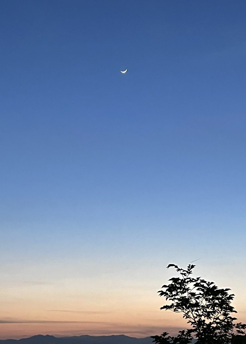 西の空に2日目の月が美しいですよ〜🌙✨