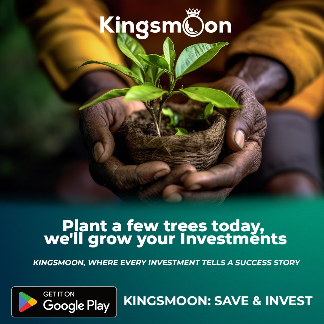 Happy National Tree Planting Day, Kenya! 🌳 Let's grow together for a greener future. 

Join us at Kingsmoon as we plant a few trees today and sow the seeds of sustainability. Together, we can make a difference! 

#greenkenya #plantatree #TreePlantingDay #NationalTreePlantingDay