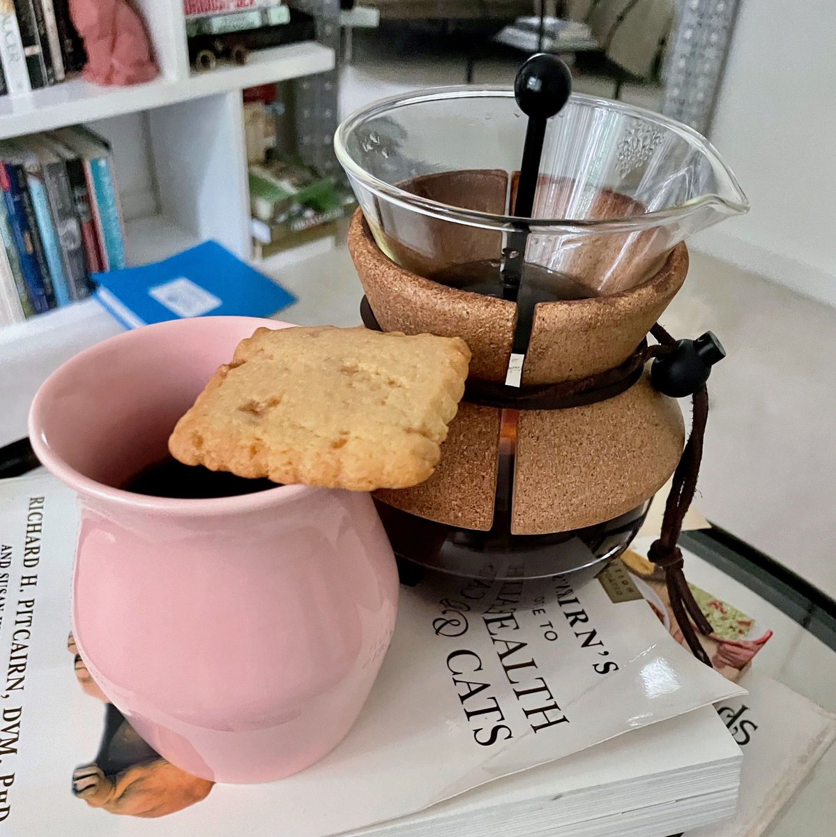 #BreakfastOfChampions Crisp, clean, naturally sweet Sumatra Woolly Rhino #coffee and a biscuit. #😋 . Learn more here: buff.ly/2lYWVS9 #TheQueenBean #CoffeeLover