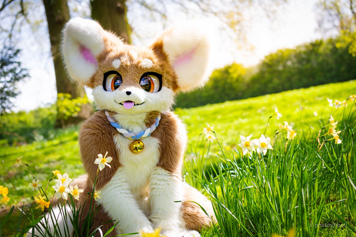 Lets go frolic in the flowers #FursuitFriday 📸: @QuiteDaHoot