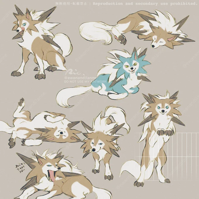 doggo 