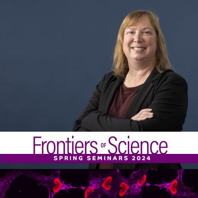 BioCity Turku (@biocityturku) on Twitter photo NEXT WEEK THURSDAY
Frontiers of Science seminar by Shelley Minteer <a href="/MinteerLab/">Minteer Lab</a> from the <a href="/UUtah/">University of Utah</a>. She will tell us about enzymes as electrocatalysts in BioCity Presidentti auditorium at 12:00
☕️+🥪at 11:45, welcome everyone!
<a href="/UniTurku/">Turun yliopisto - University of Turku</a> <a href="/PhotoMicrobes/">Photosynthetic Microbes</a> <a href="/AboAkademi/">Åbo Akademi University</a> <a href="/BioscienceTurku/">TurkuBioscience</a> NEXT WEEK THURSDAY
Frontiers of Science seminar by Shelley Minteer <a href="/MinteerLab/">Minteer Lab</a> from the <a href="/UUtah/">University of Utah</a>. She will tell us about enzymes as electrocatalysts in BioCity Presidentti auditorium at 12:00
☕️+🥪at 11:45, welcome everyone!
<a href="/UniTurku/">Turun yliopisto - University of Turku</a> <a href="/PhotoMicrobes/">Photosynthetic Microbes</a> <a href="/AboAkademi/">Åbo Akademi University</a> <a href="/BioscienceTurku/">TurkuBioscience</a>