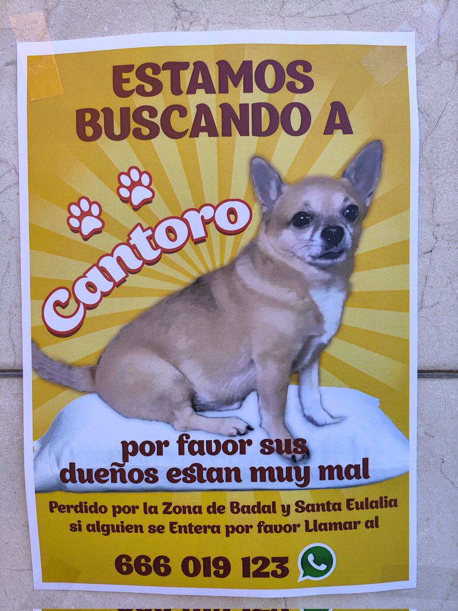 Si veieu al Cantoro, truqueu-los, pobres. (Vist a Barcelona tocant Hospitalet)
