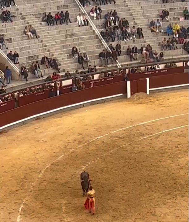 El mantra del 2º espectáculo de masas se cae cuando ves las fotos de decenas de convocatorias taurinas a lo largo (y ancho) de #España.

Miles de personas viendo el @basquetcoruna o el @RCDeportivo son mejores ejemplos de compromiso con un ocio saludable, no torturar animales.