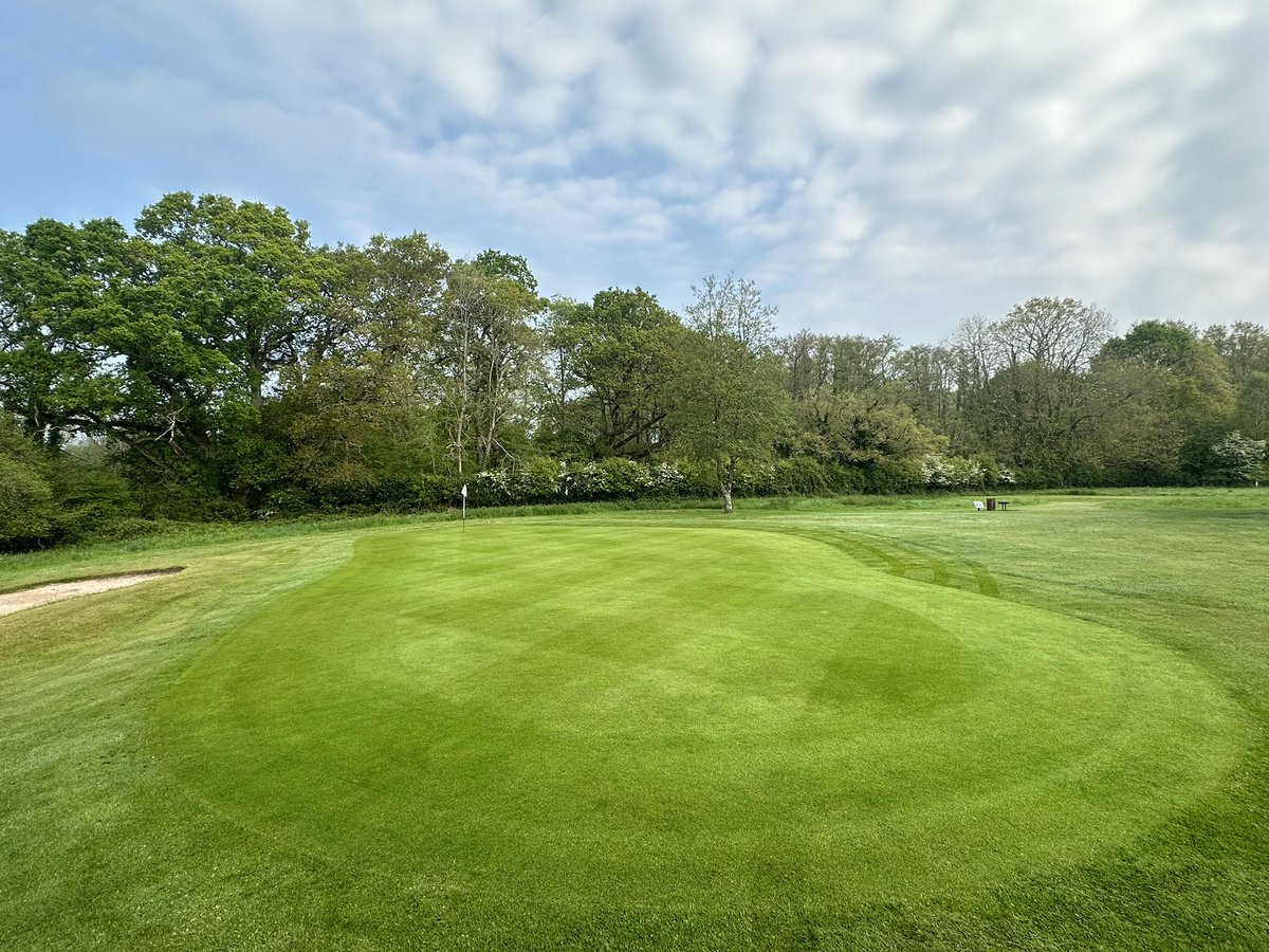 The courses are starting to come alive now! Amazing how much better everything feels in the sunshine. All bunkers have been edged and weeded. The greens are starting to hit their stride. Lots of weed spraying has been done. Long may the sun continue! 🙌🏻🤩