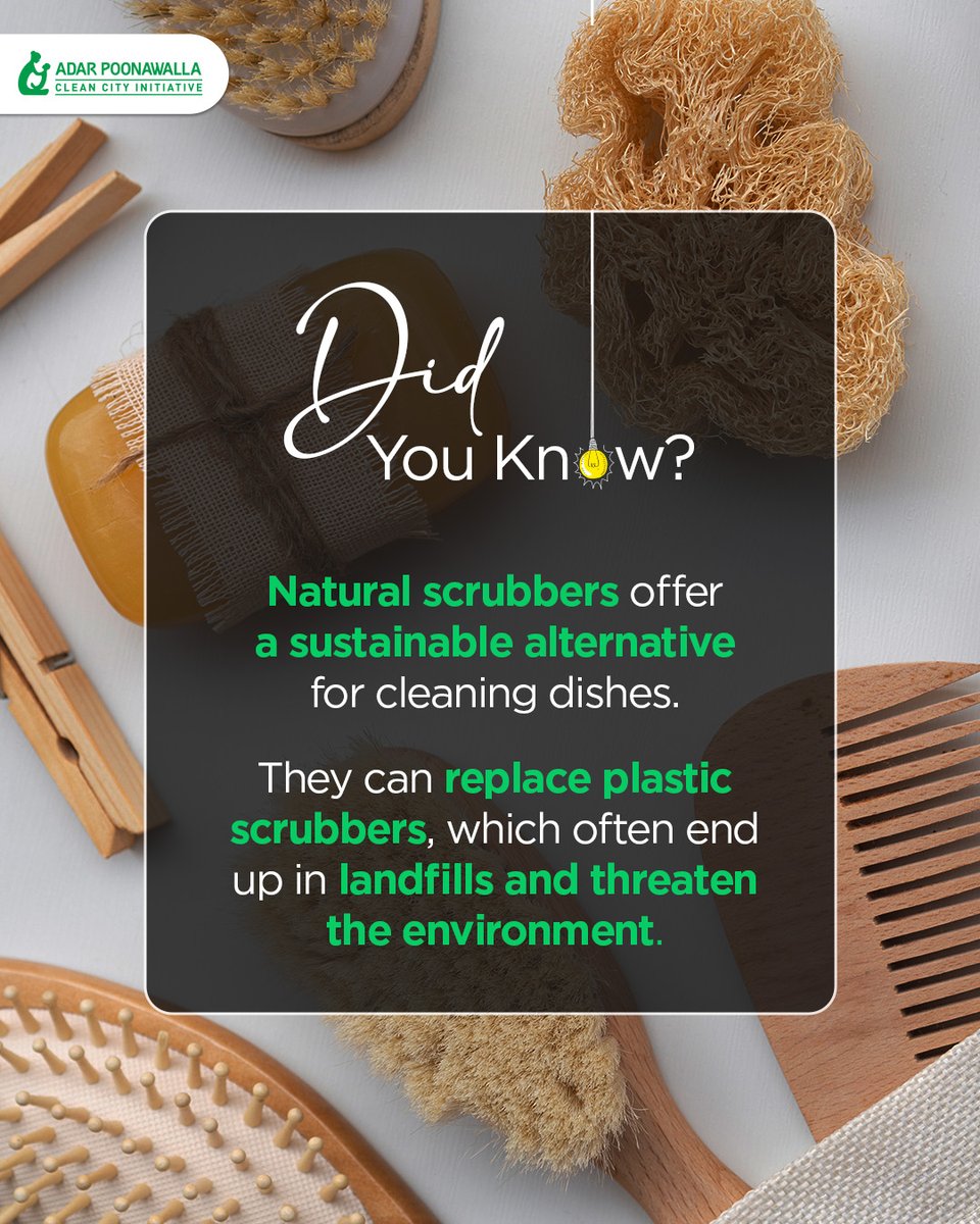 Natural scrubbers, made from sustainable materials like a loofah or coconut fibres, offer effective and environmentally conscious alternative to cleaning dishes. #apcci #adarpoonawalla #adarpoonawallacleancity #didyouknow #dyk #scrubbers #naturalscrubbers #substainable #cleaning