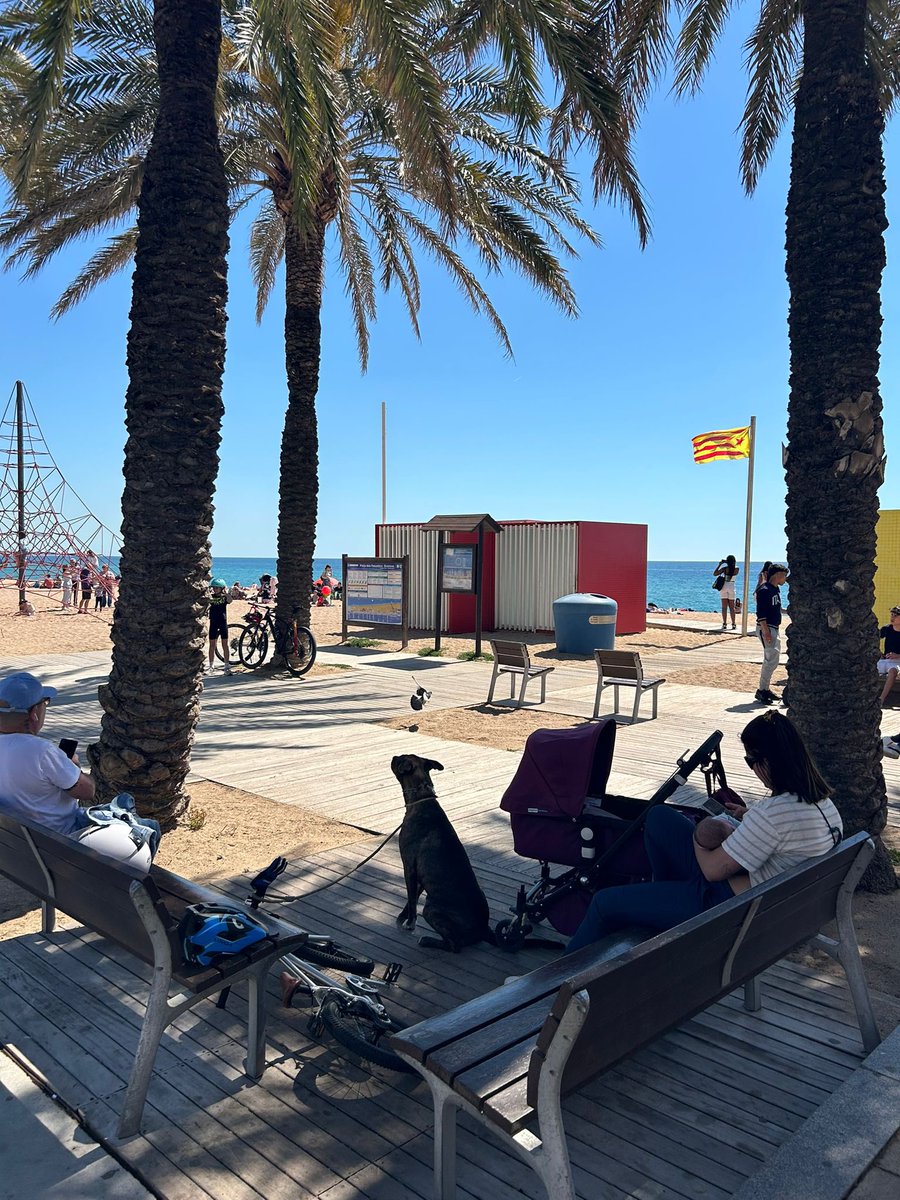 😈Ahir vam sortir als carrers de #Badalona ha reivindicar unes Festes de Maig combatives i compromeses amb el país.

✊🏻Omplim la ciutat d’estelades que ens mostren quin és el nostre horitzó, la independència dels Països Catalans!