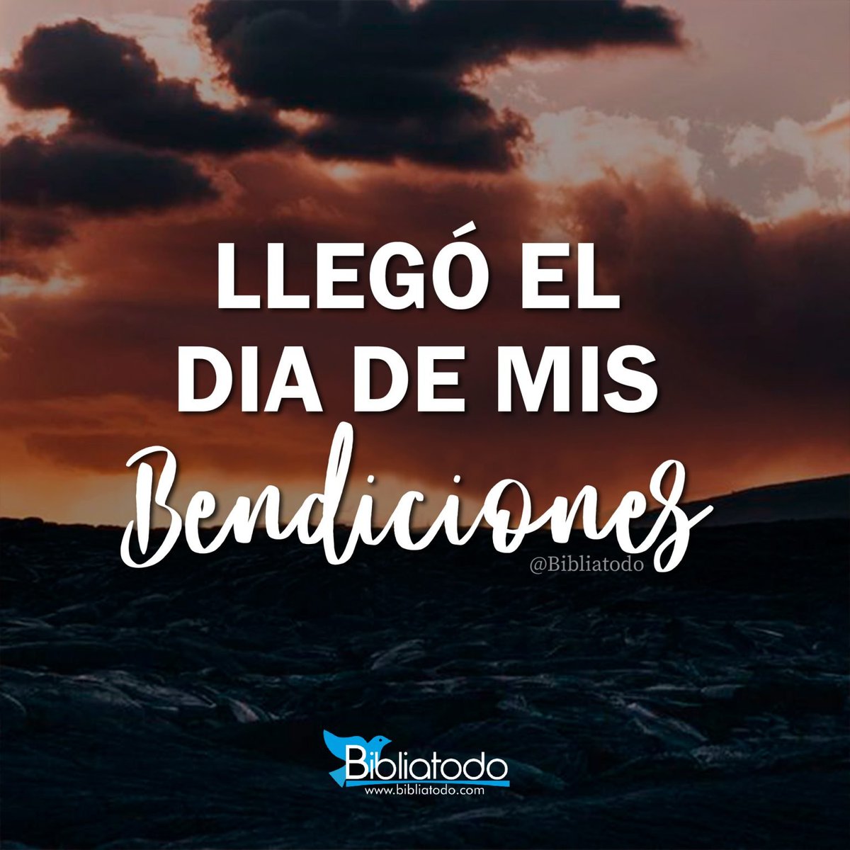 Este es el día de tu milagro 🙌

#buenosdias #imagenes #diostebendiga #amor #esperanza #fe #cristo #espiritusanto #felizdia #graciasdios #bendecidos #Dios #viernes