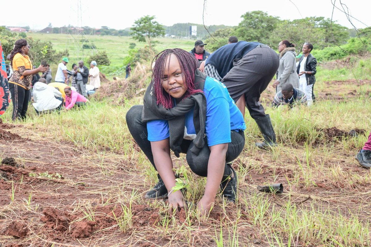 Digging into sustainability! 🌱 Prof. James Biu Kung’u, Ag. Deputy Vice-Chancellor (Academic), and KU staff members plant trees during the #NationalTreePlantingDay. Together, we're nurturing our environment for a greener tomorrow! 🌳 #TreePlanting #Sustainability