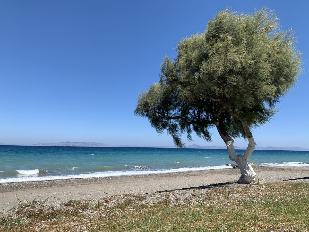 Ich würde sagen, wir starten jetzt endlich die Sommersaison🌊🌞