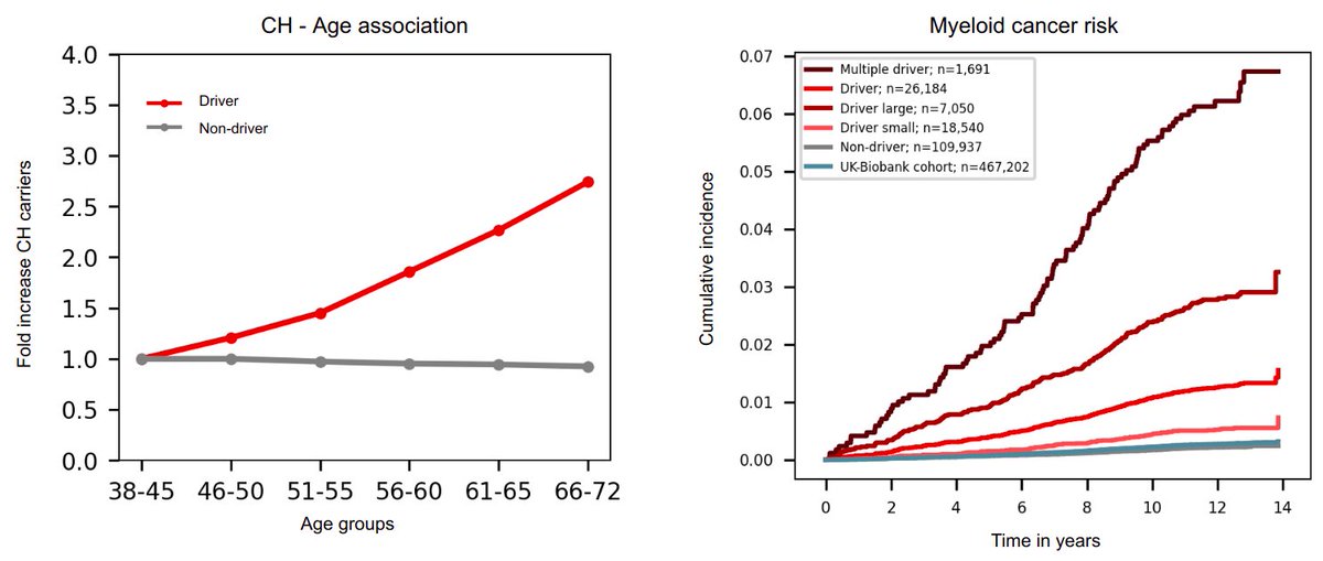 📢 Very happy to share our latest paper Identification of Clonal Hematopoiesis Driver Mutations through In Silico Saturation Mutagenesis, just published in Cancer Discovery Explore our findings here: aacrjournals.org/cancerdiscover… 🩸🧬💻