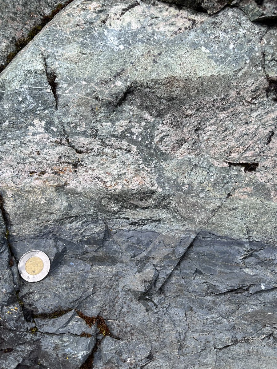 Stephen Michalchuk tweet media