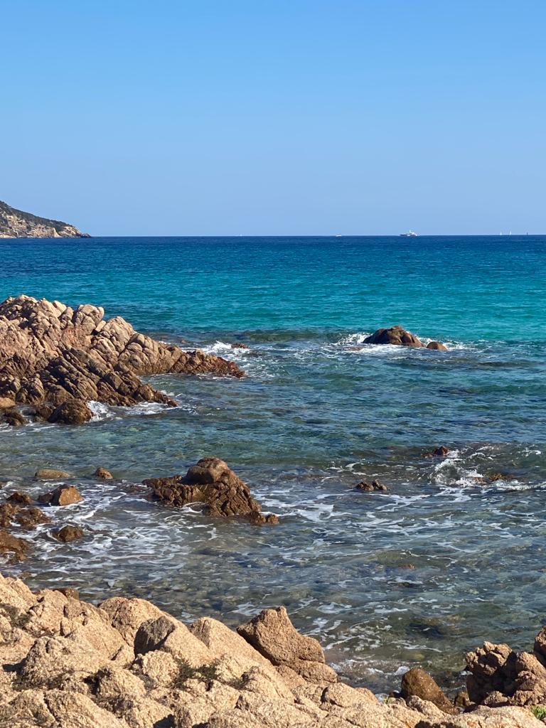 @Ferula18 Io da qua non sarei più venuta via....vicino ad Olbia.
Buongiorno Ferula !
#Sardegna