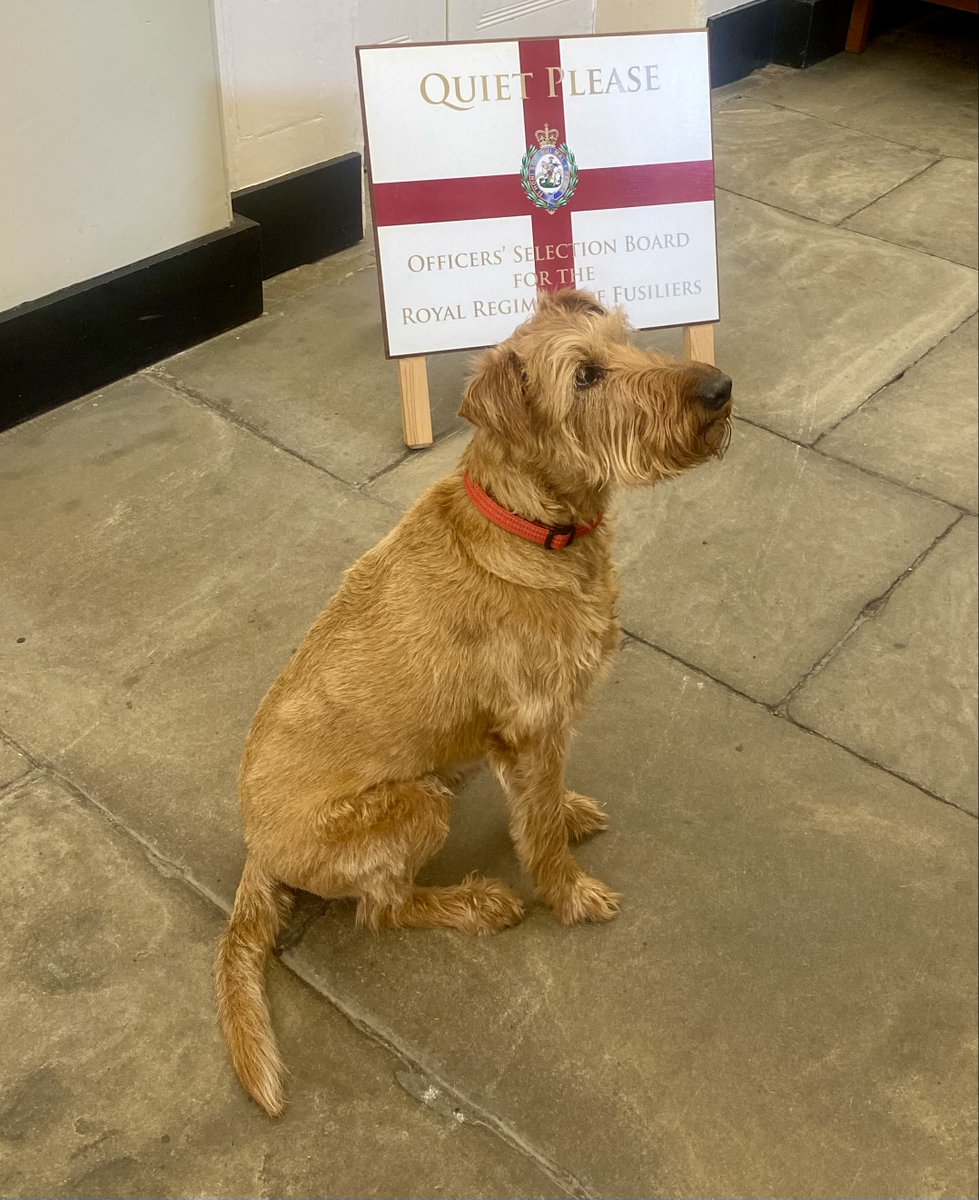 This week marks the Regimental Selection Boards (RSBs), during which cadets undergo interviews with representatives from their first & second choice Regiments and Corps. Our dedicated Wellbeing Officer Rufus has decided to participate in the process this time round. #servetolead