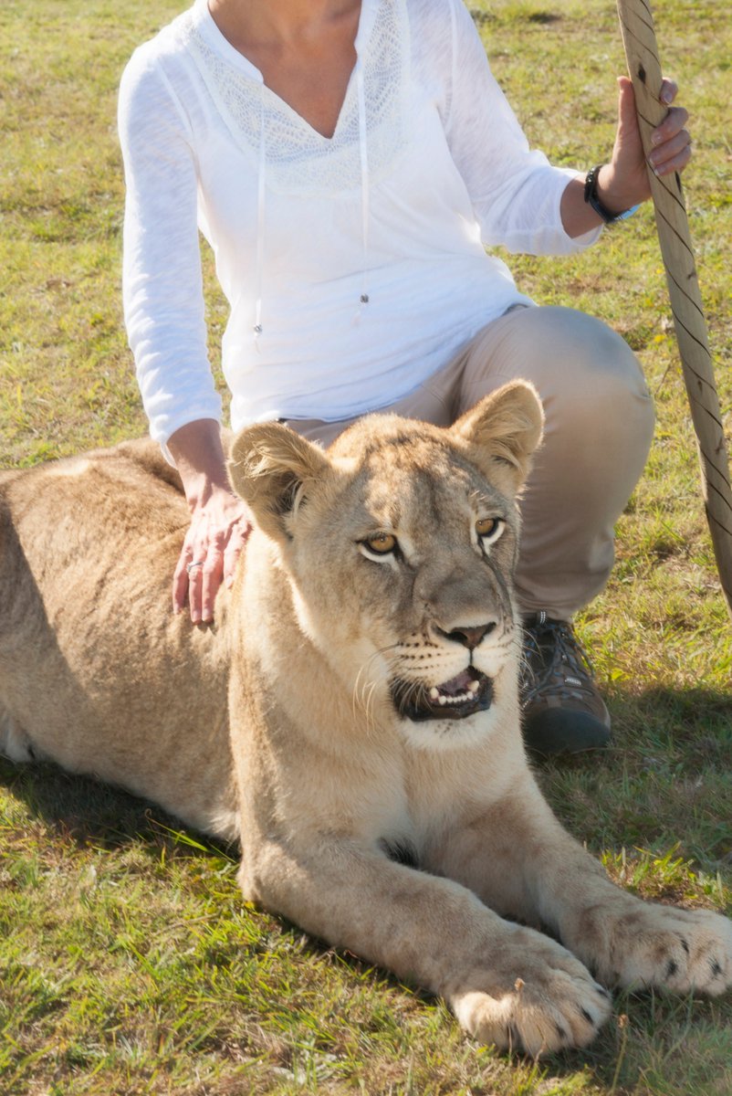 How do you know when an animal interaction is unethical? 'The most important question is whether the wildlife practice is in the interest of the animal or if human interests are considered superior,' Louise de Waal of Blood Lions travelweekly.com/Middle-East-Af…