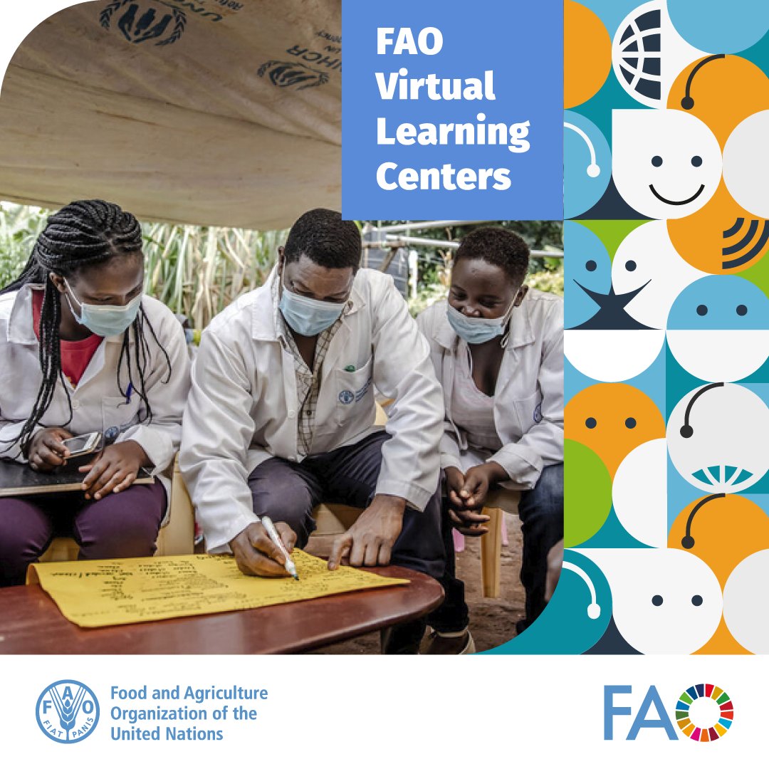 Looking to elevate your expertise on #OneHealth in agrifood systems? 🌾🧪🐄🌦🌏 Join a global community of learners with @FAO Virtual Learning Centers to connect with experts, peers, and valuable resources. Register today! bit.ly/3DYHba0