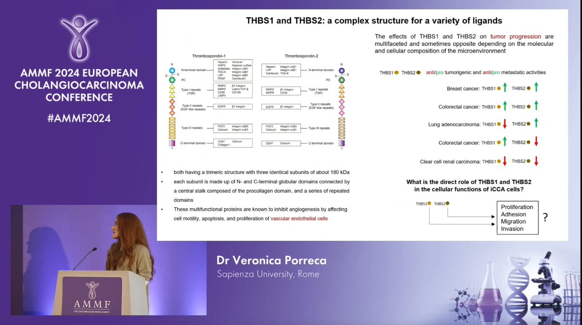 AMMF (@charityammf) on Twitter photo AMMF-funded research by Dr. Veronica Porreca of <a href="/SapienzaRoma/">Sapienza Università di Roma</a> reveals: thrombospondin 1 (THBS1) & 2 (THBS2) promote malignant behaviour of iCCA cells, while pigment epithelium-derived factor (PEDF) does not affect iCCA cell proliferation and reduces cell adhesion and migration AMMF-funded research by Dr. Veronica Porreca of <a href="/SapienzaRoma/">Sapienza Università di Roma</a> reveals: thrombospondin 1 (THBS1) & 2 (THBS2) promote malignant behaviour of iCCA cells, while pigment epithelium-derived factor (PEDF) does not affect iCCA cell proliferation and reduces cell adhesion and migration