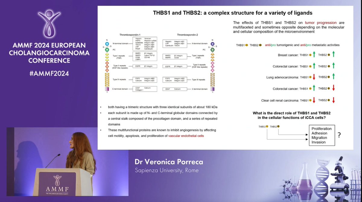 AMMF-funded research by Dr. Veronica Porreca of @SapienzaRoma reveals: thrombospondin 1 (THBS1) & 2 (THBS2) promote malignant behaviour of iCCA cells, while pigment epithelium-derived factor (PEDF) does not affect iCCA cell proliferation and reduces cell adhesion and migration