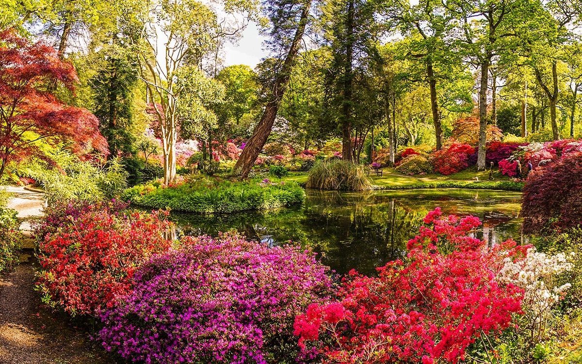 Mid April to June is the best time of year to bask in the blazing beauty of rhododendron gardens. The following gardens boast particularly impressive blooms. buff.ly/3vTdkiR