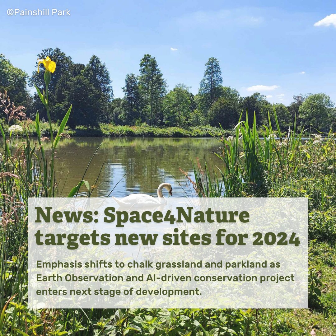 #Space4Nature is moving into its 2nd year, deploying volunteers to study the plants and animals found at 2 beautiful Surrey locations: Sheepleas nature reserve and Painshill Park! Read now ➡️ bit.ly/4b9jJWh @UniOfSurrey @Buzz_dont_tweet @PostcodeLottery @Painshill