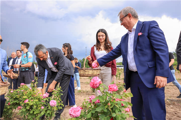 🌹 Trakya Üniversitesi Balkan Kongre Merkezinde gerçekleştirilen açılış programının ardından gül bahçesinde hasat yapıldı.

#trakyaüniversitesi #edirnegülü #hasat #etkinleri