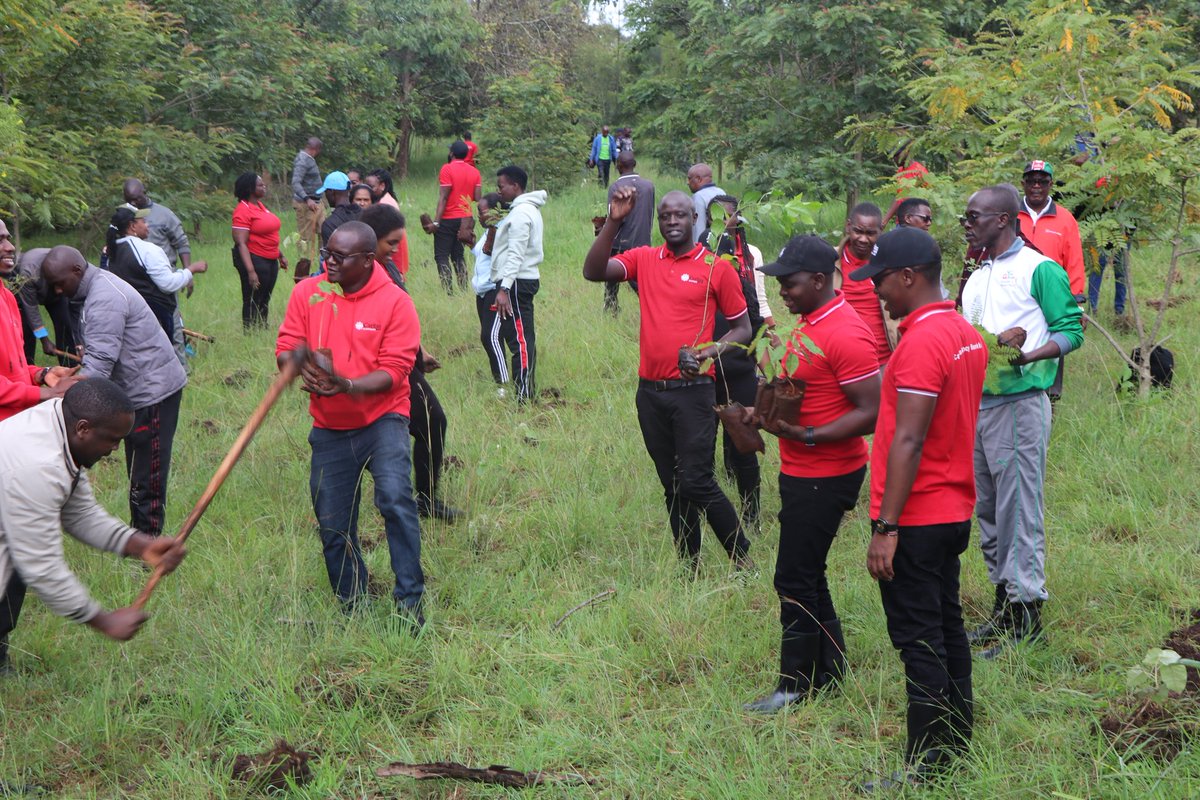 🌳 Today was a special day as <a href="/CaritasMFB/">Caritas Microfinance Bank</a>  CER, and Ruiru Prisons Training Staff College joined forces for #NationalTreeGrowingDay! 
Together, we planted trees at Ruiru Prisons Training Staff College, showing solidarity with our fellow Kenyans affected by floods.