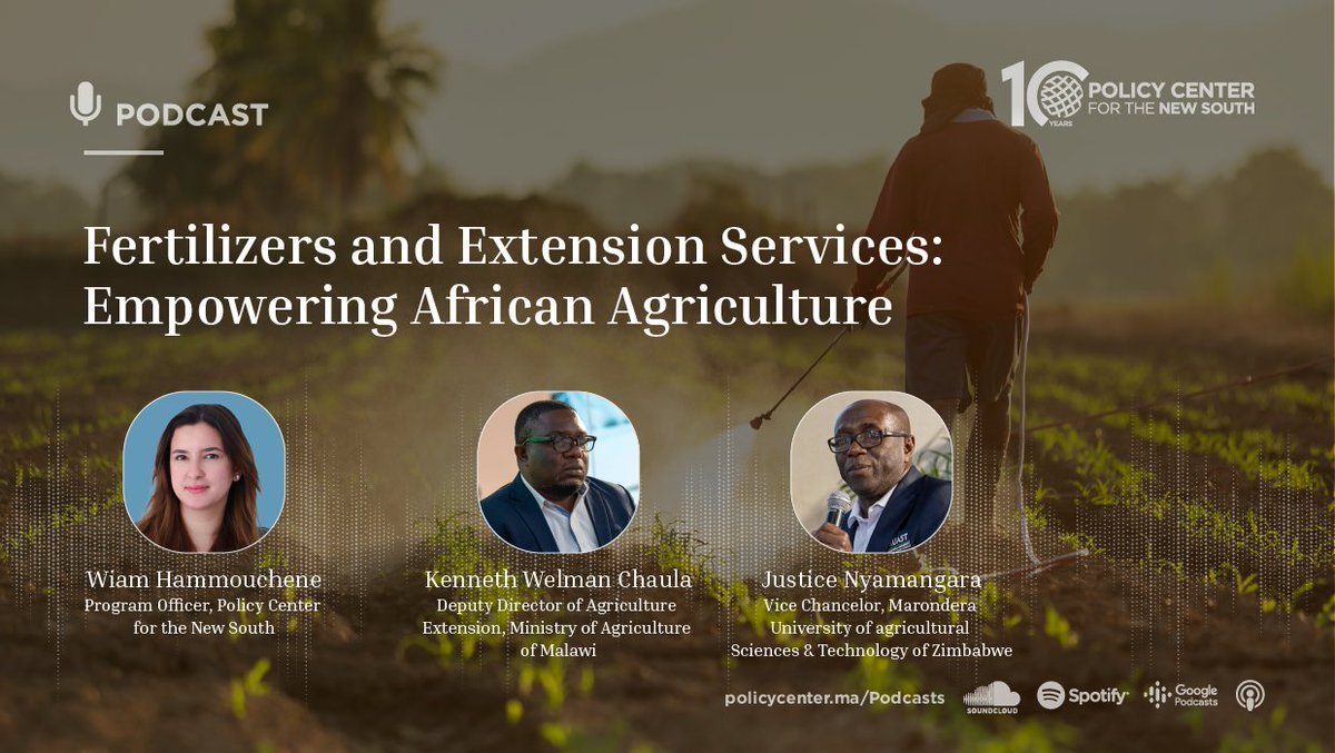 🎙️ #Fertilizers are key to boosting crop yields in #Africa 🌍, but challenges like high costs & environmental impacts hinder their effective use. Tune into our latest #podcast to explore how extension services can #empower smallholder farmers.👇 policycenter.ma/podcasts/ferti…