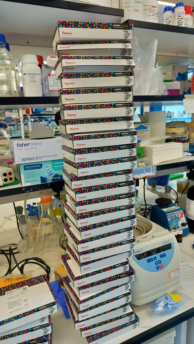 Trypsin+Lys-C stocks arrived for Team Alessi's @mrcppu Organelle IP Proteomics, @ASAP_Research...