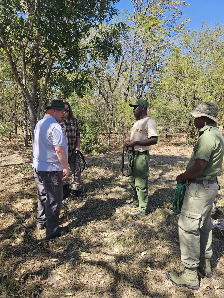 It takes a team of dedicated and resilient young men and women like our professionally trained dog handlers and ranchers to fight poaching. Lets join forces as we put an end to this this nasty act. #notopoaching #dogtraining