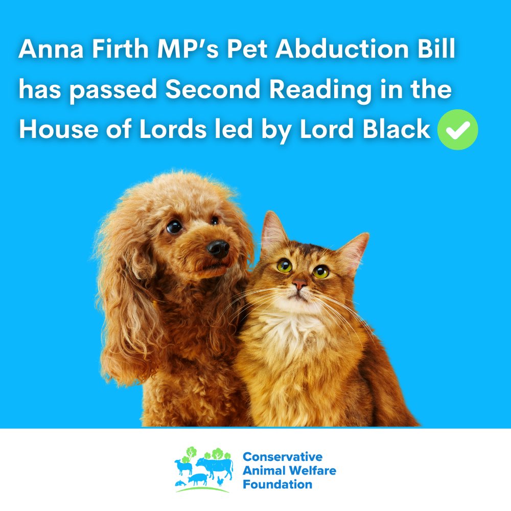 Good news! Patron @Anna_Firth Pet Abduction Bill has passed its Second Reading in the House of Lords led by Lord Black today. This Bill will now proceed to its Committee Stage #PetAbuctionBill #ActionForAnimals