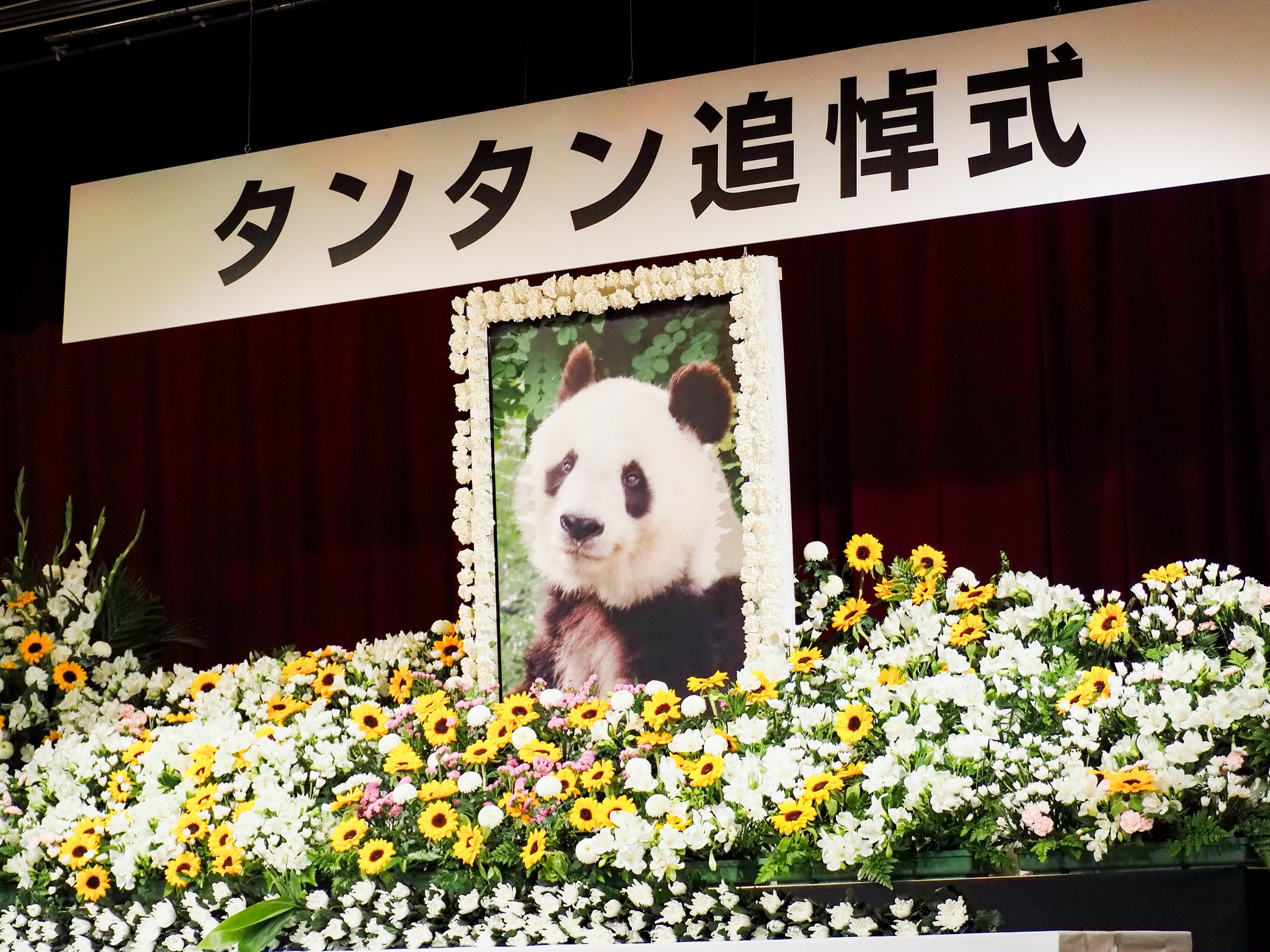 【中古】 追いつめられた子どもたち 追跡・風の子学園事件/エピック（神戸）/毎日新聞社 追いつめられた子どもたち: 追跡・風の子学園事件 | 毎日新聞