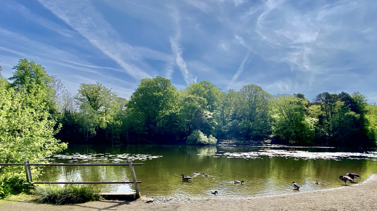 Sitting quietly by a lake in the sun dreaming of days gone by.
@PanoPhotos #Panorama